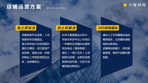 陜西拼上拼軟件貼牌 大象采集與精細化運營助力拼多多代運營新高度