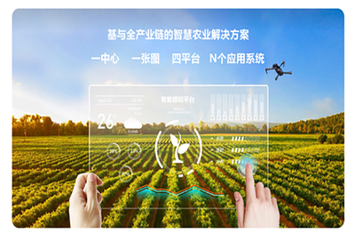 農(nóng)業(yè)項(xiàng)目公示網(wǎng)站 推動(dòng)農(nóng)業(yè)現(xiàn)代化的新引擎