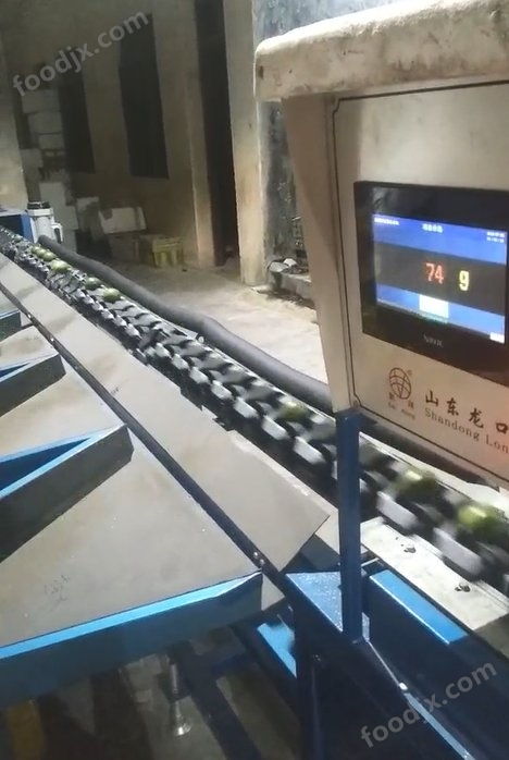 智能引領，精準分選 探秘凱祥新型牛奶棗電腦選果機